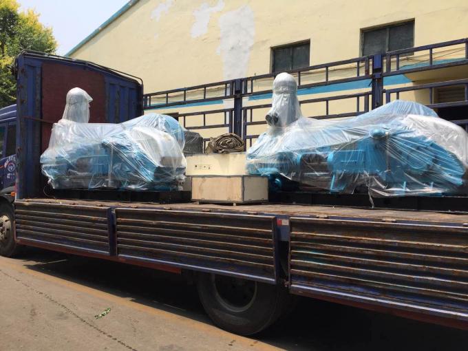 BW850-5 Horizontale dubbele cilinder met een dubbelwerkende zuigerpomp 3