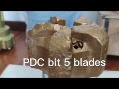 Het Hulpmiddel van de hoge snelheidsboring 6 3/4“ Pdc-Rotsbeetje met Api 3 1/2 Reg Pin Thread